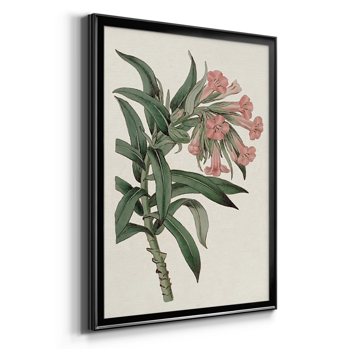 Pink Floral Mix VI - Modern Framed Canvas Print