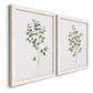 Eucalyptus I   - Premium Framed Canvas 2 Piece Set - Ready to Hang