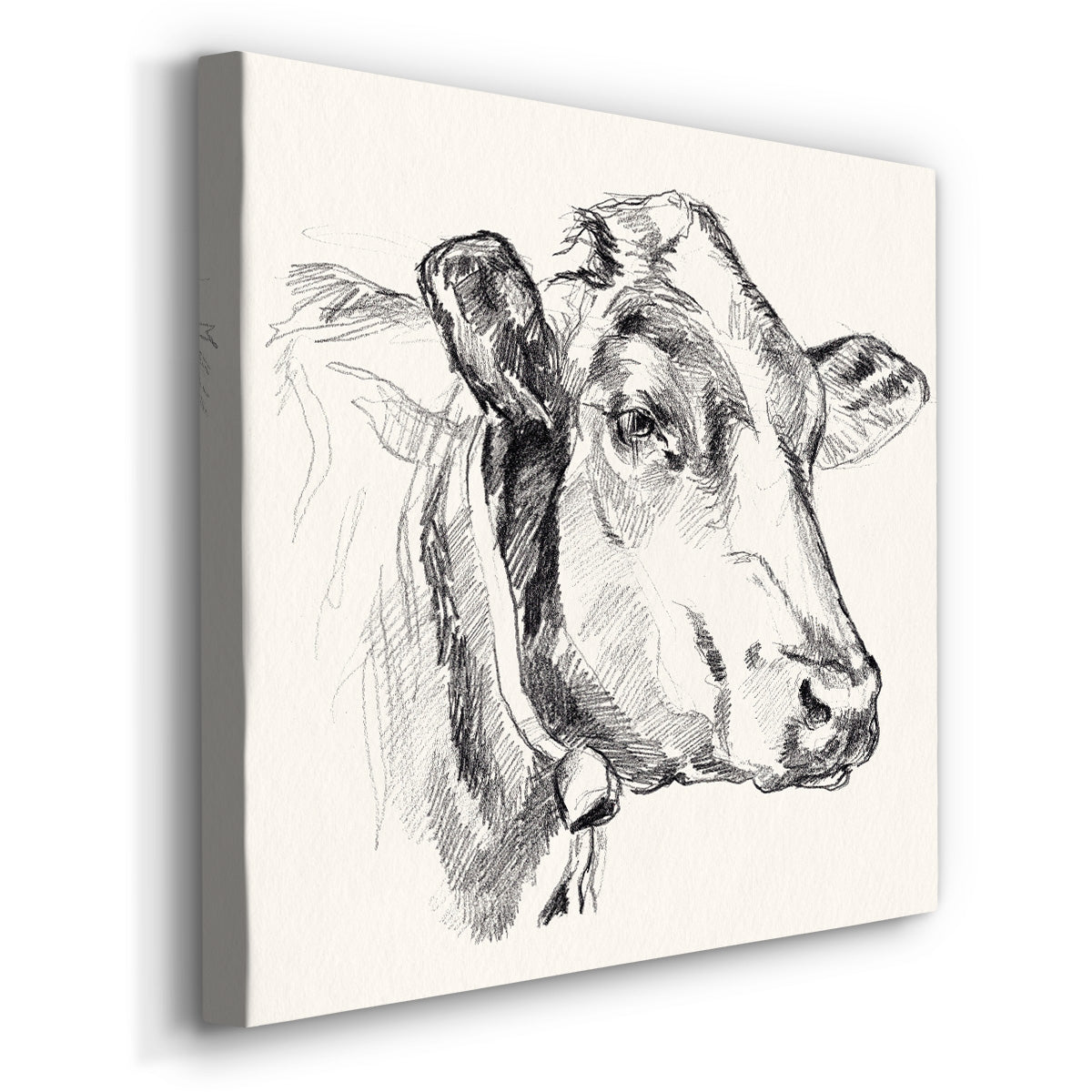 Holstein Portrait Sketch I - Canvas Art Print