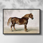 A Cart-Horse - Floater Framed Canvas Print