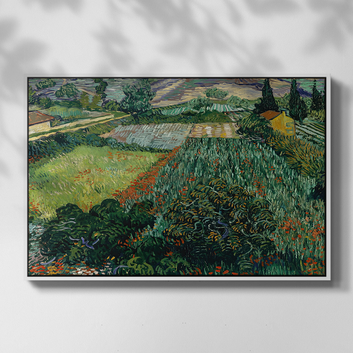 Field with Poppies, Saint-Rémy, 1889 - Floater Framed Canvas Print
