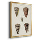 Cone Shell Collection III - Modern Framed Canvas Print