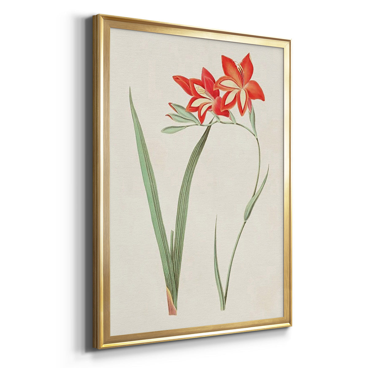 Flowers of the Seasons IV - Modern Framed Canvas Print