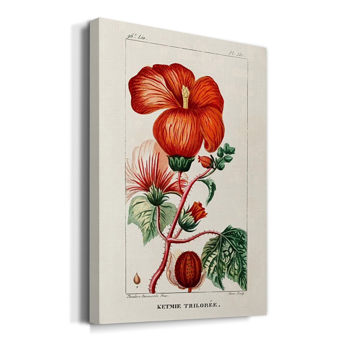 Turpin Tropical Botanicals VII Premium Gallery Wrapped Canvas - Ready to Hang