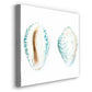 Watercolor Shells VI-Premium Gallery Wrapped Canvas - Ready to Hang