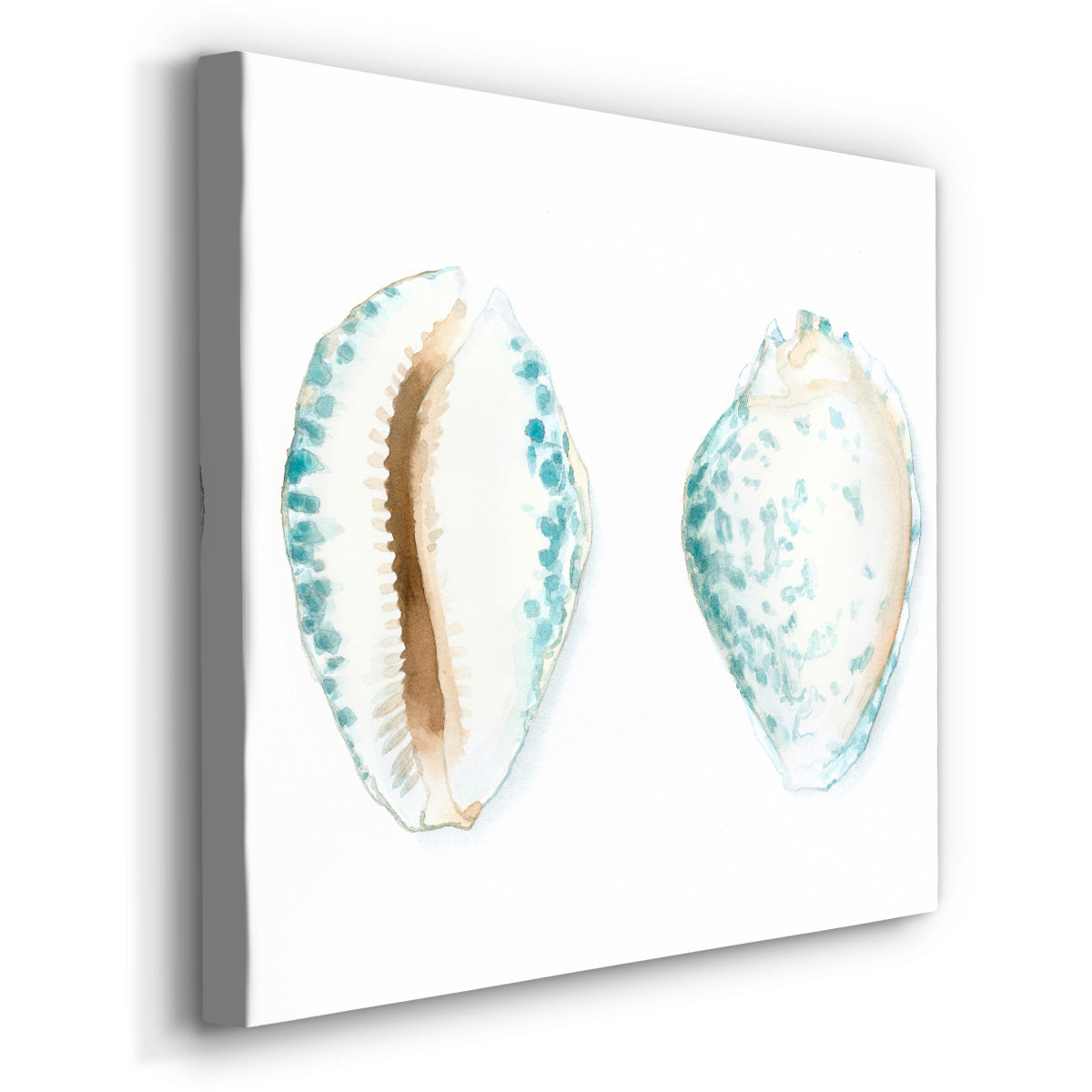 Watercolor Shells VI-Premium Gallery Wrapped Canvas - Ready to Hang