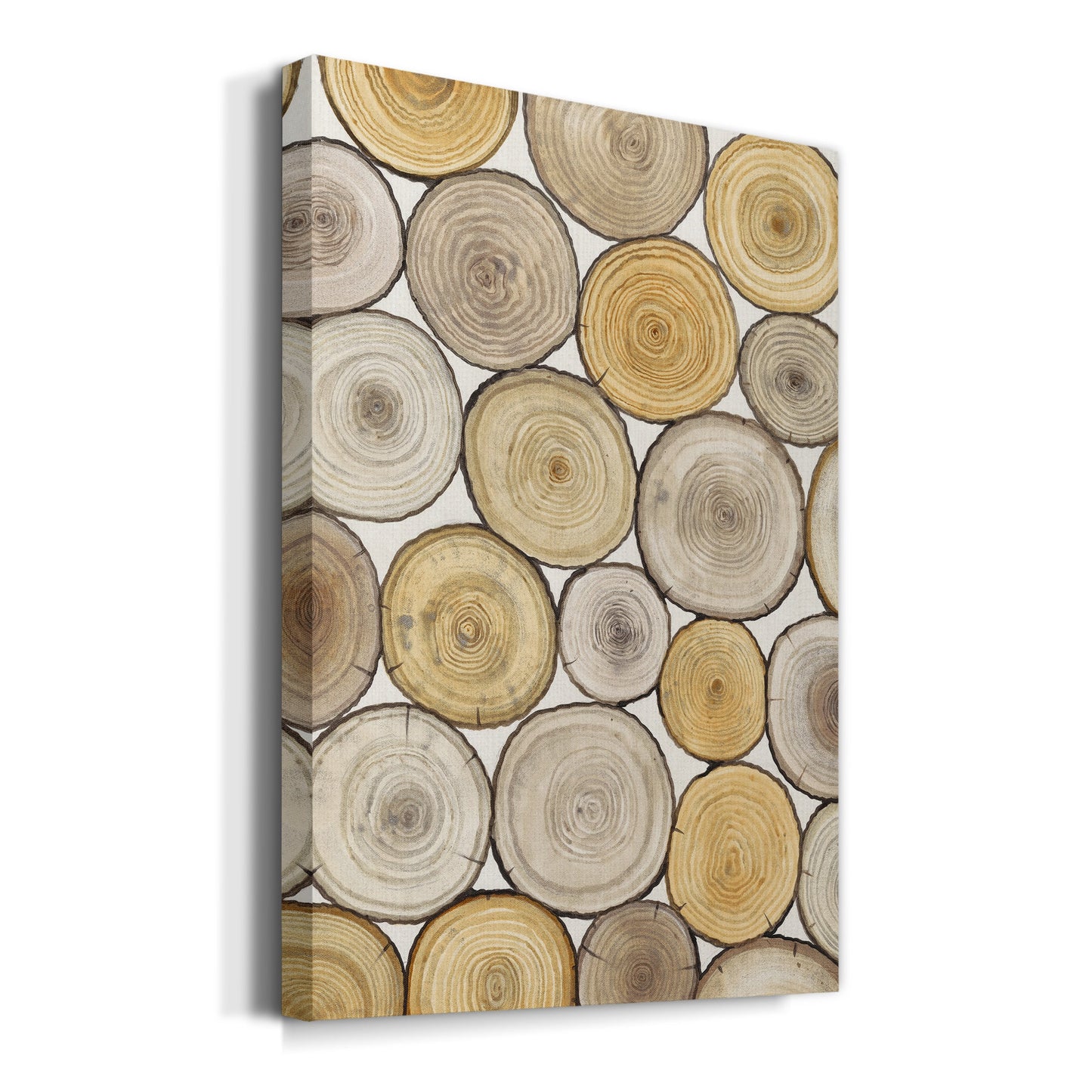 Tree Ring Study II Premium Gallery Wrapped Canvas - Ready to Hang