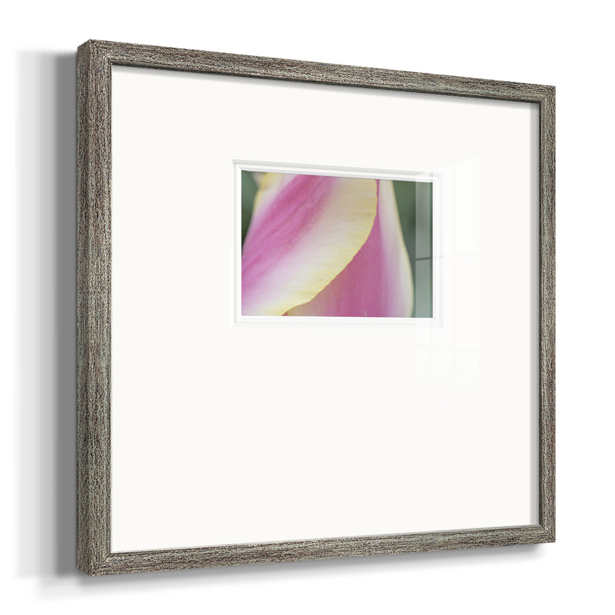 Delicate Premium Framed Print Double Matboard