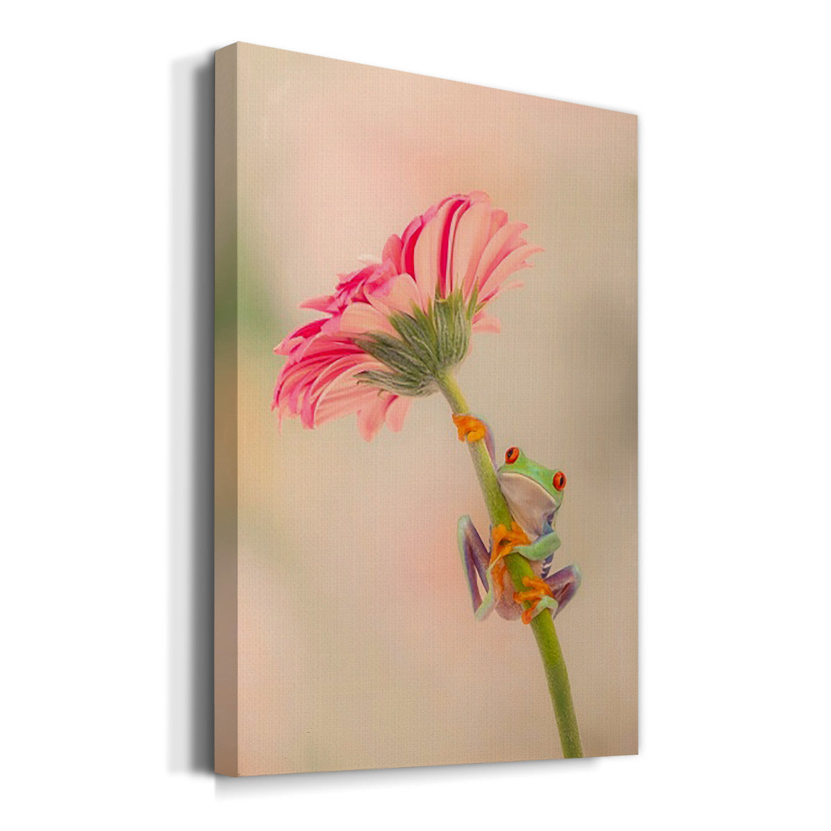 Hanging On I - Canvas Art Print