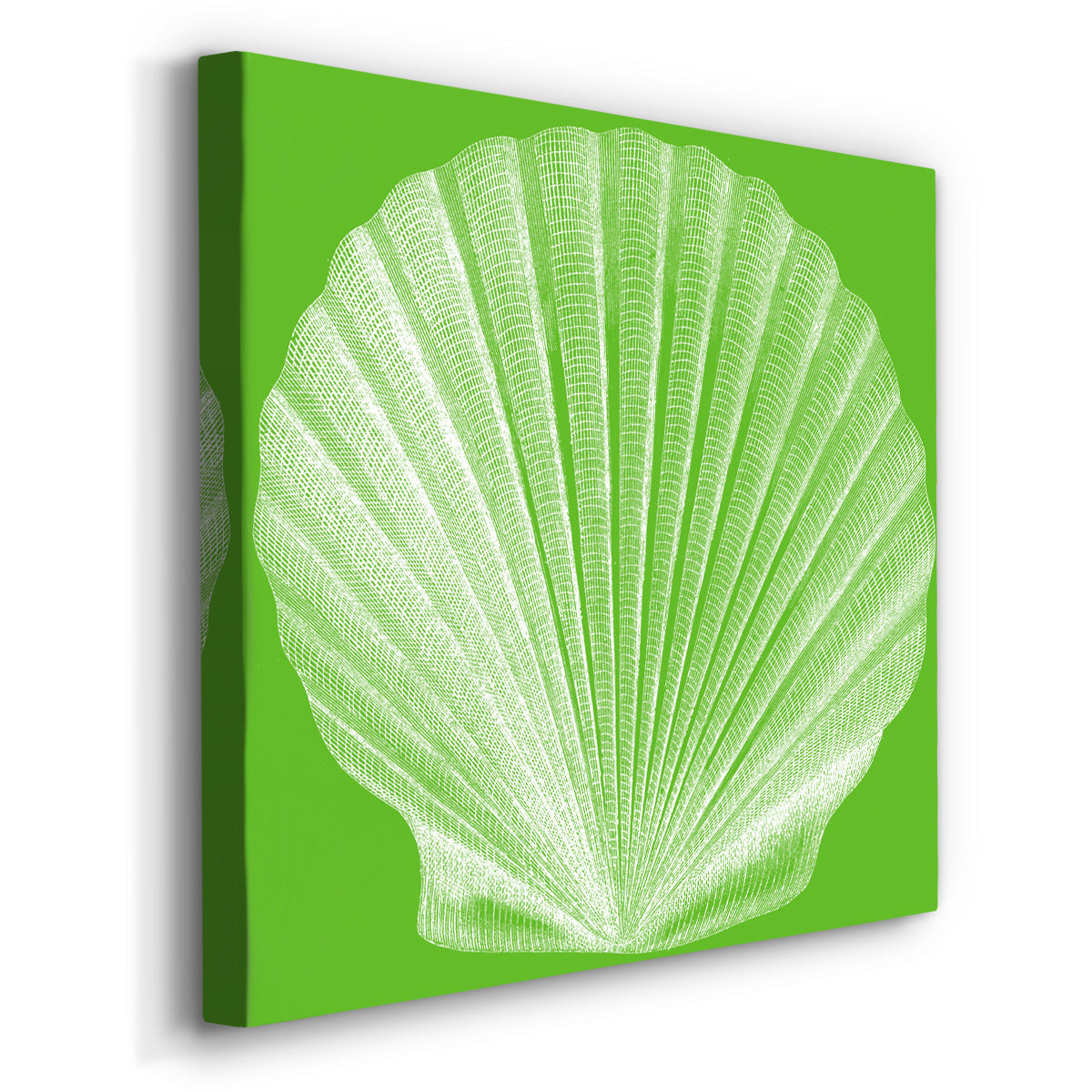 Saturated Shell II - Canvas Art Print