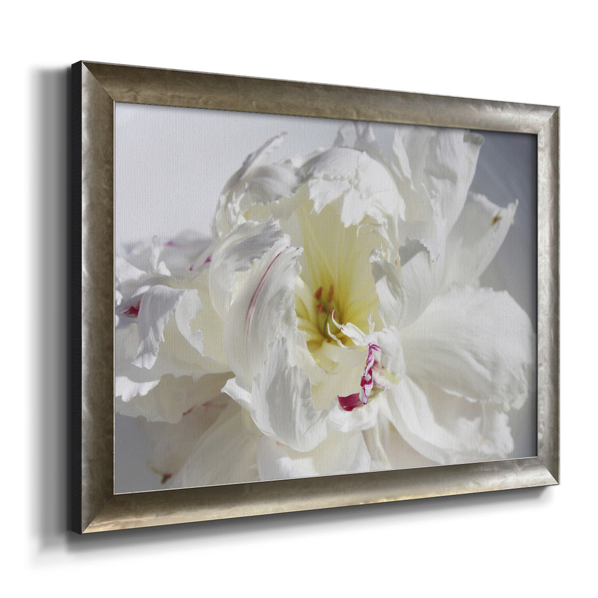 Breathless IV - Ornate Framed Canvas Print