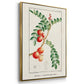 Turpin Tropical Botanicals I - Floater Framed Canvas Set