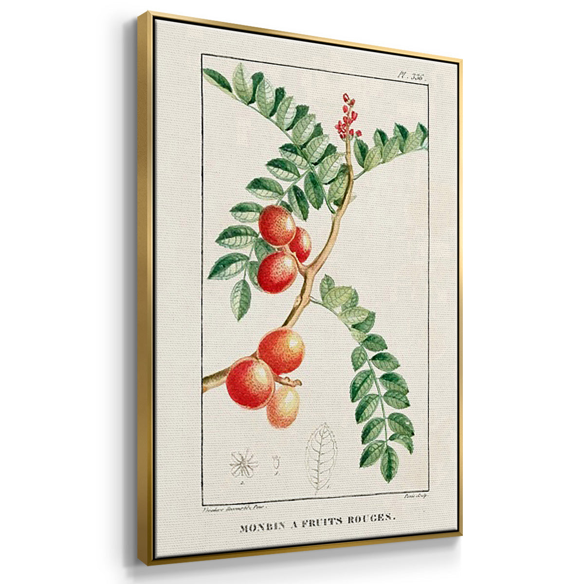 Turpin Tropical Botanicals I - Floater Framed Canvas Set