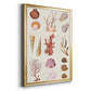 Coral & Shell Collage II -  Framed Canvas Print