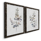 Eucalyptus I - Premium Framed Canvas 2 Piece Set - Ready to Hang