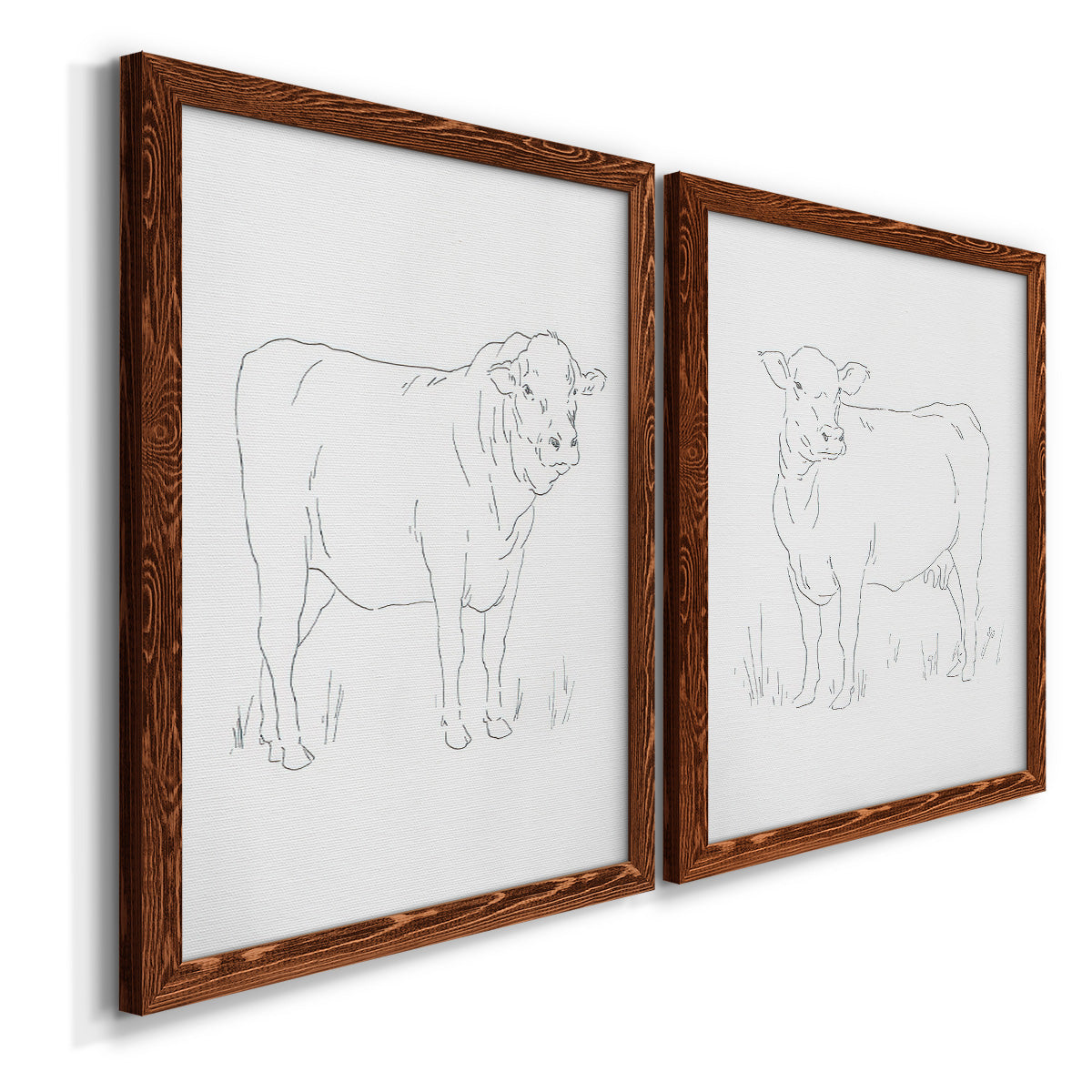 Angled view of a set of two maple barnwood framed canvas prints featuring two minimalist livestock sketches featuring simple contour drawings of standing cows.