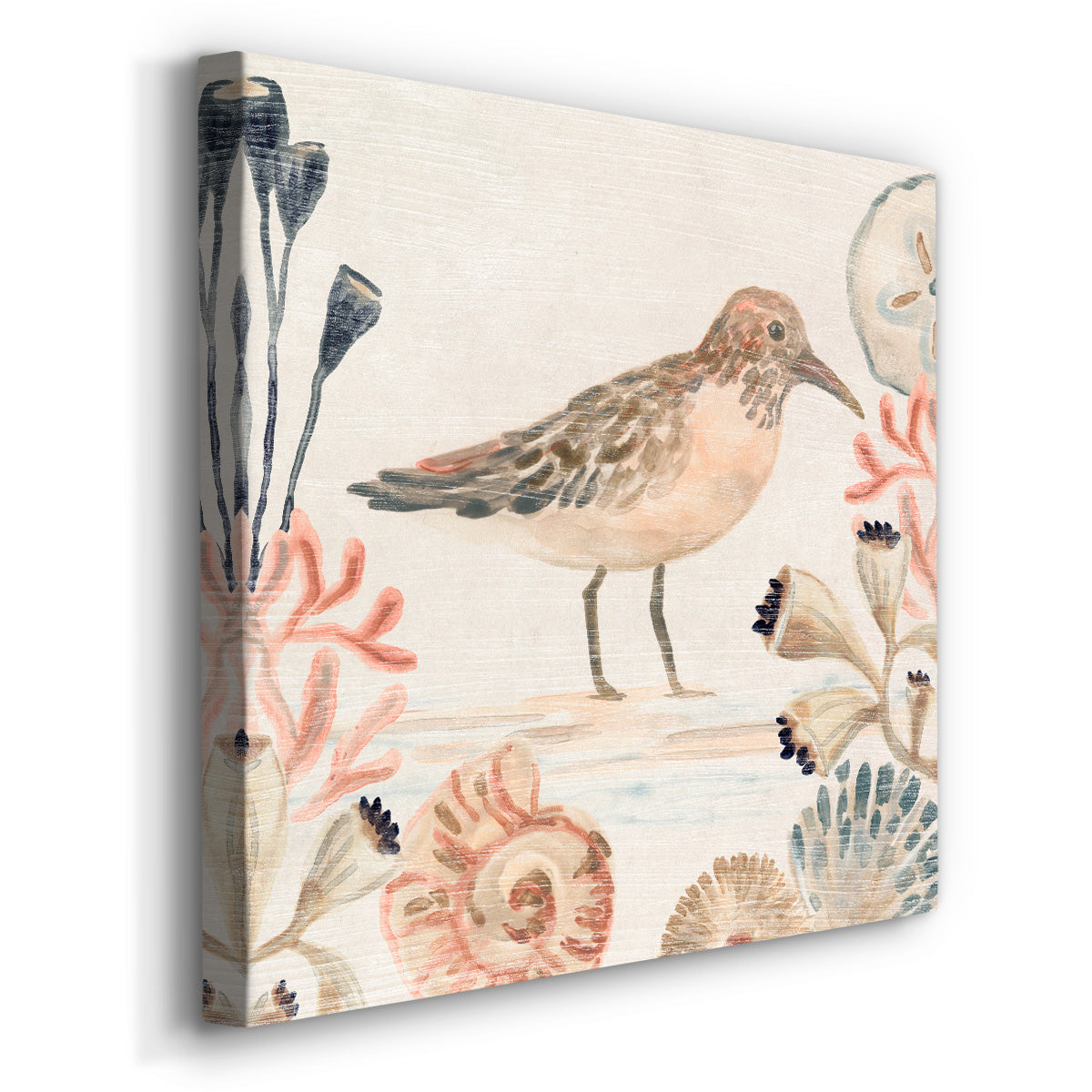 Shell Pipers III - Canvas Art Print