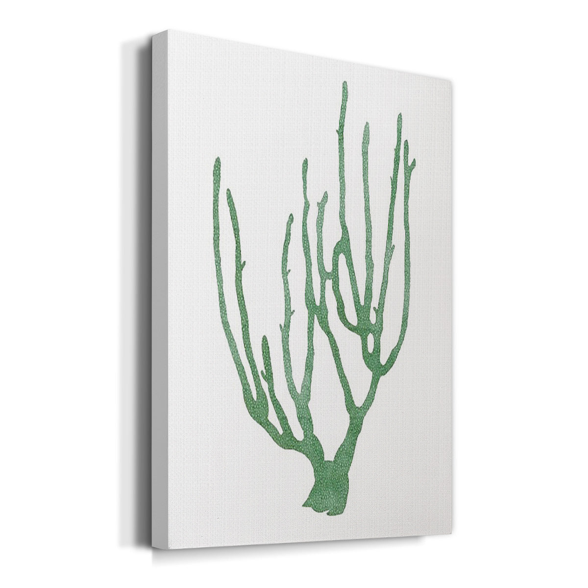 Coral Souvenirs II - Canvas Art Print