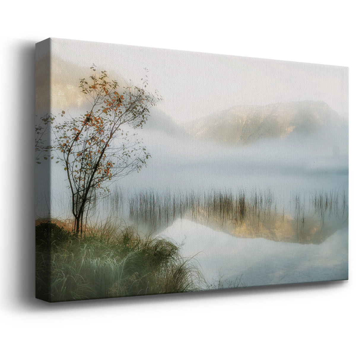 Golden Mirror of October Premium Gallery Wrapped Canvas - Ready to Hang