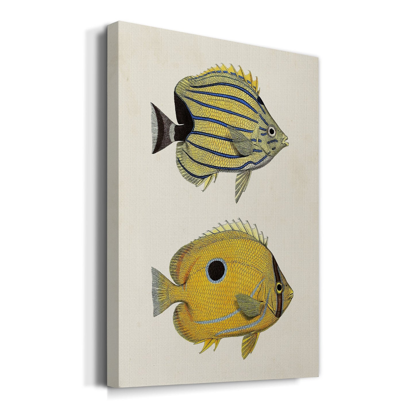 Yellow & Grey Fish III Premium Gallery Wrapped Canvas - Ready to Hang