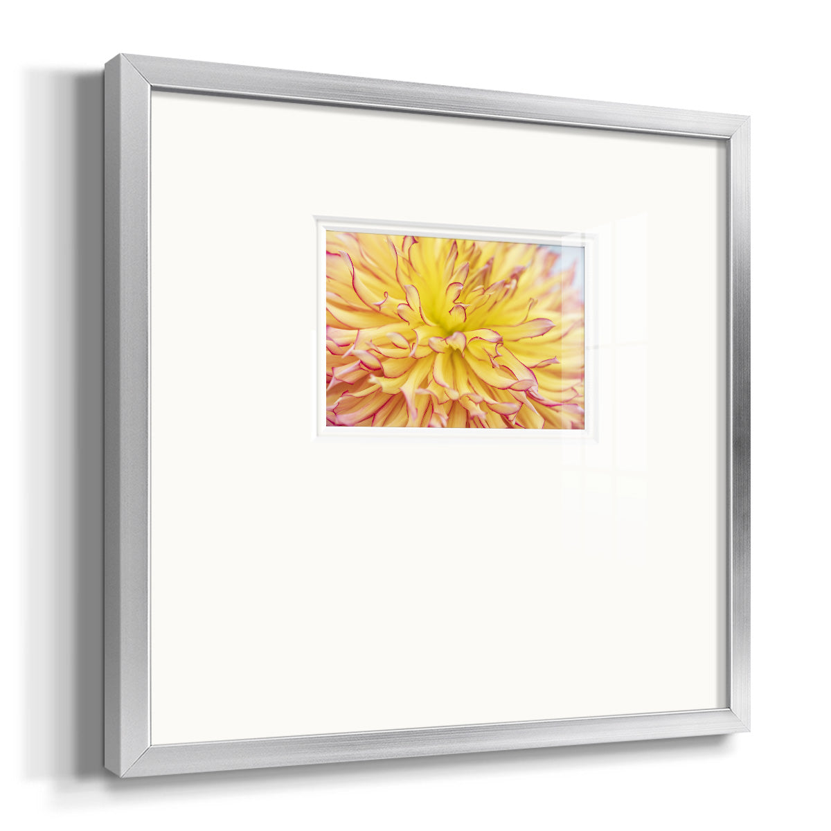 Blooms III Premium Framed Print Double Matboard