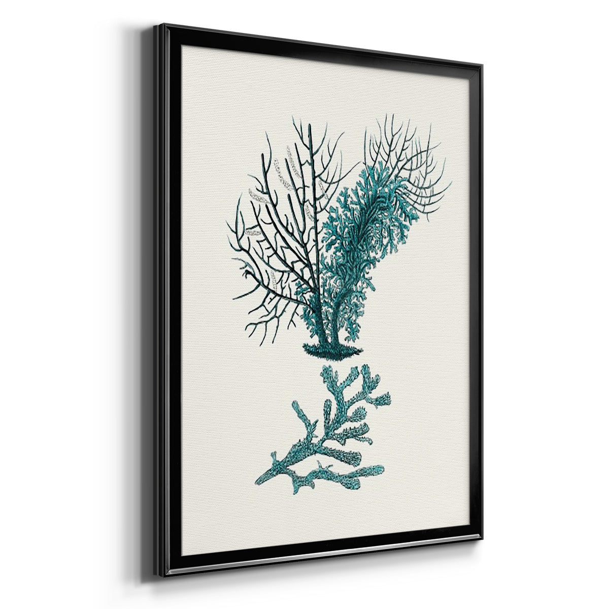 Antique Coastal Coral VI - Modern Framed Canvas Print