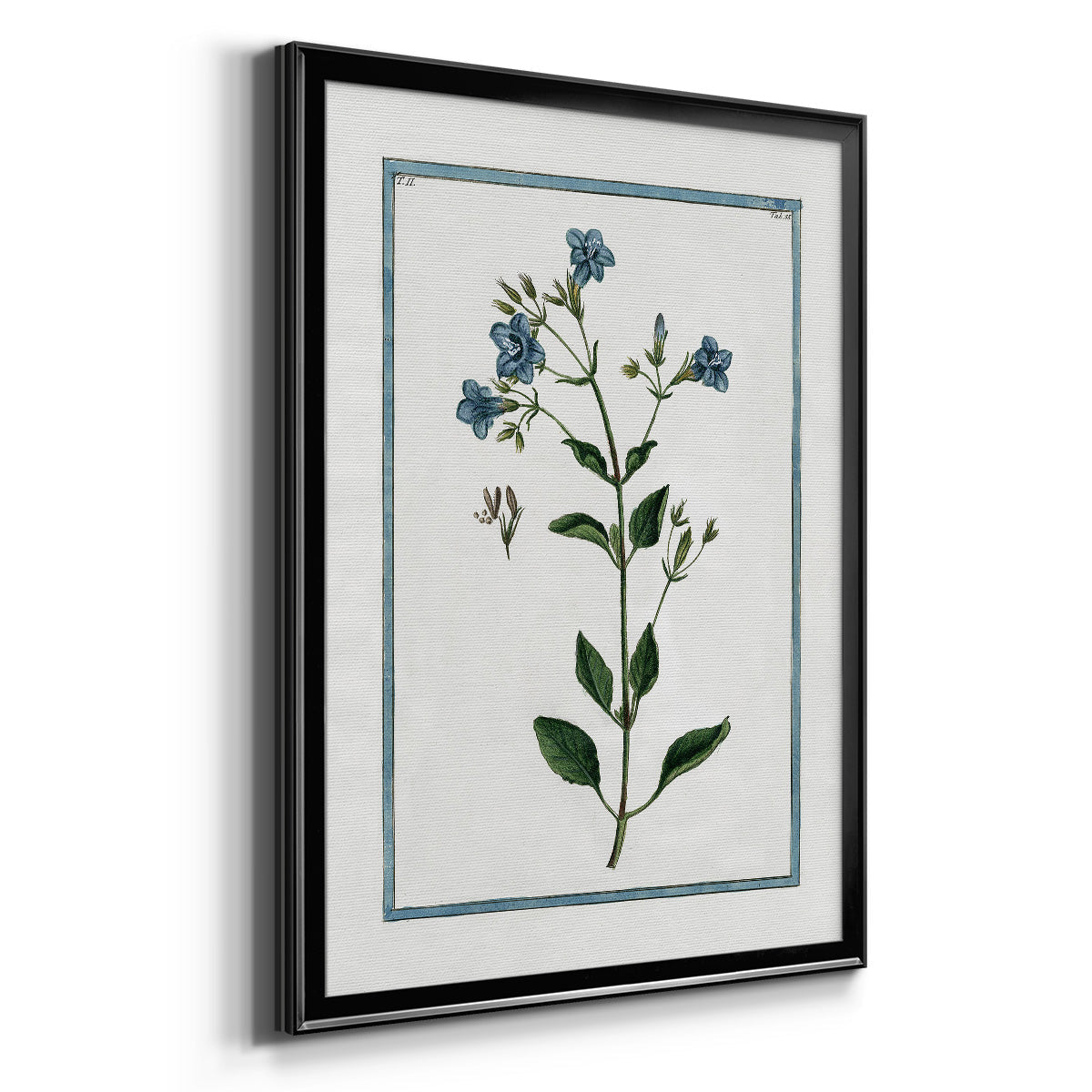 Shabby Chic Botanical II - Modern Framed Canvas Print