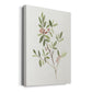 Single Sprig IV Premium Gallery Wrapped Canvas - Ready to Hang