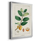 Turpin Tropical Botanicals V - Modern Framed Canvas Print