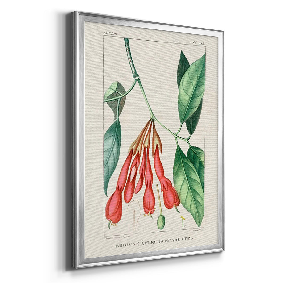 Turpin Tropical Botanicals I - Modern Framed Canvas Print