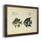 Bloch Antique Fish II Premium Framed Canvas- Ready to Hang