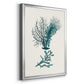 Antique Coastal Coral VI - Modern Framed Canvas Print