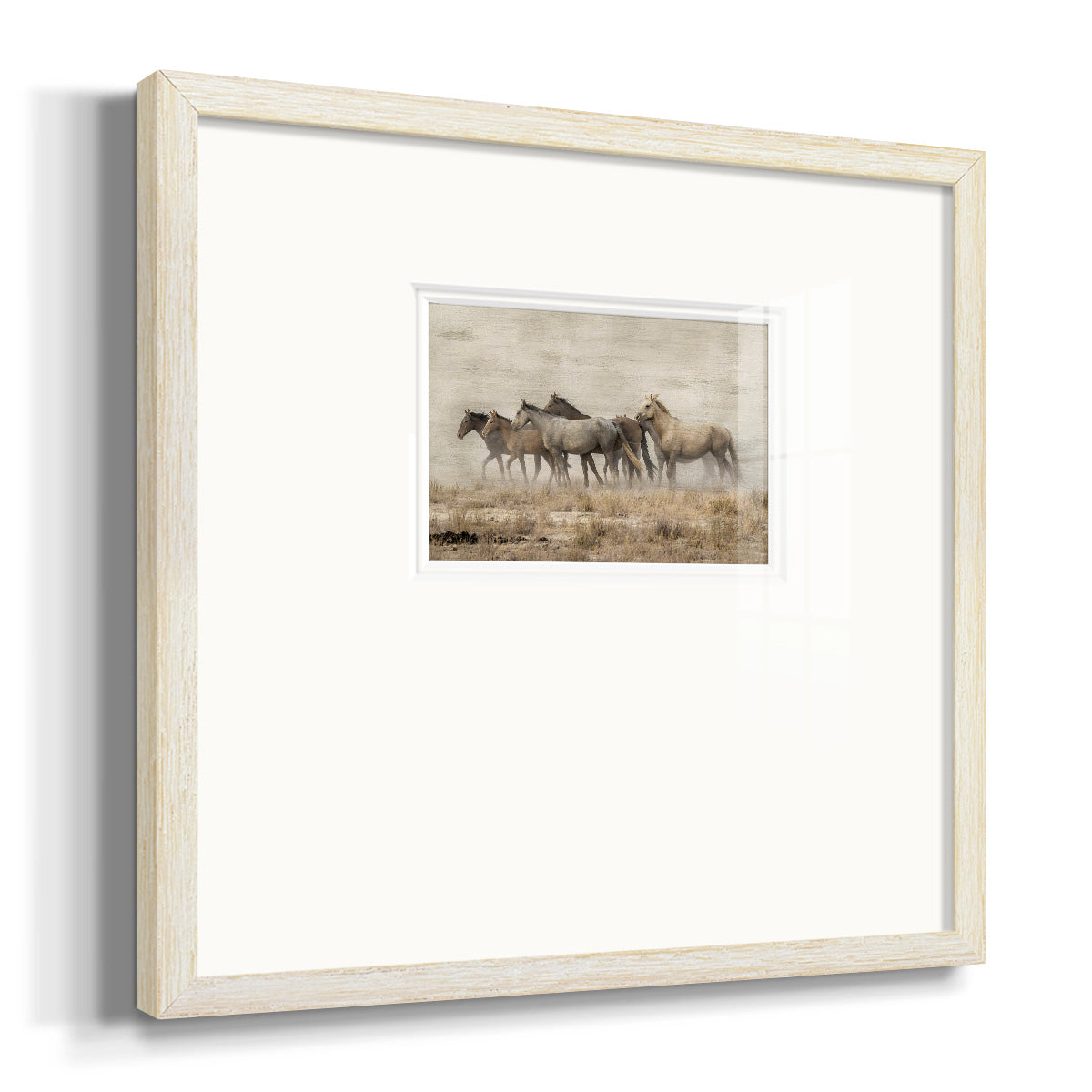 Roaming Free Premium Framed Print Double Matboard