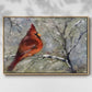 Cardinal in Snow II - Framed Gallery Wrapped Canvas in Floating Frame