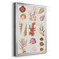 Coral & Shell Collage II -  Framed Canvas Print