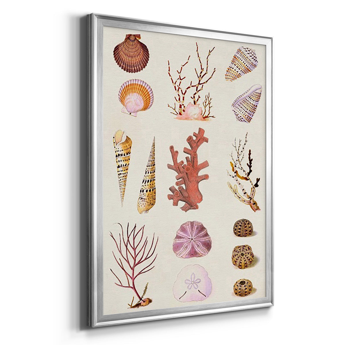Coral & Shell Collage II -  Framed Canvas Print