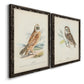 Hawk Owl - Premium Framed Canvas 2 Piece Set - Ready to Hang