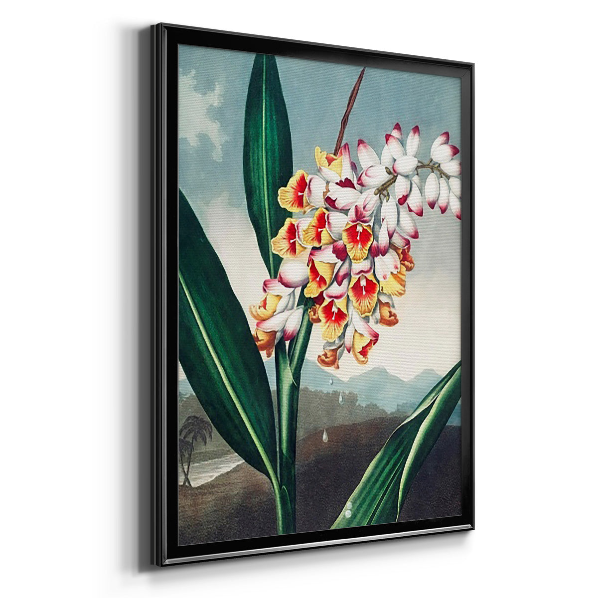 Temple of Flora VII - Modern Framed Canvas Print