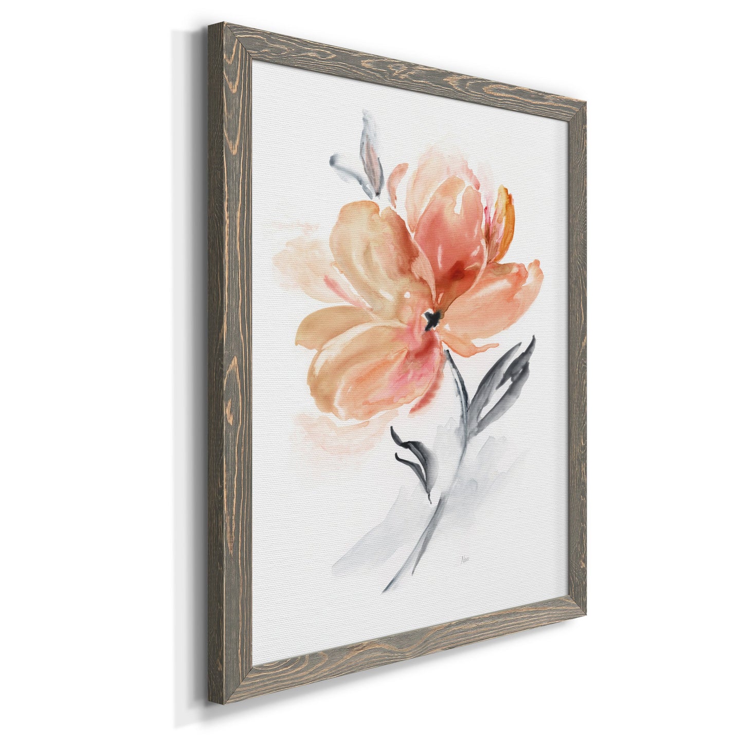 Soft Sensation II - Premium Canvas Framed in Barnwood - Ready to Hang