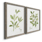 Herb Sage - Premium Framed Canvas 2 Piece Set - Ready to Hang