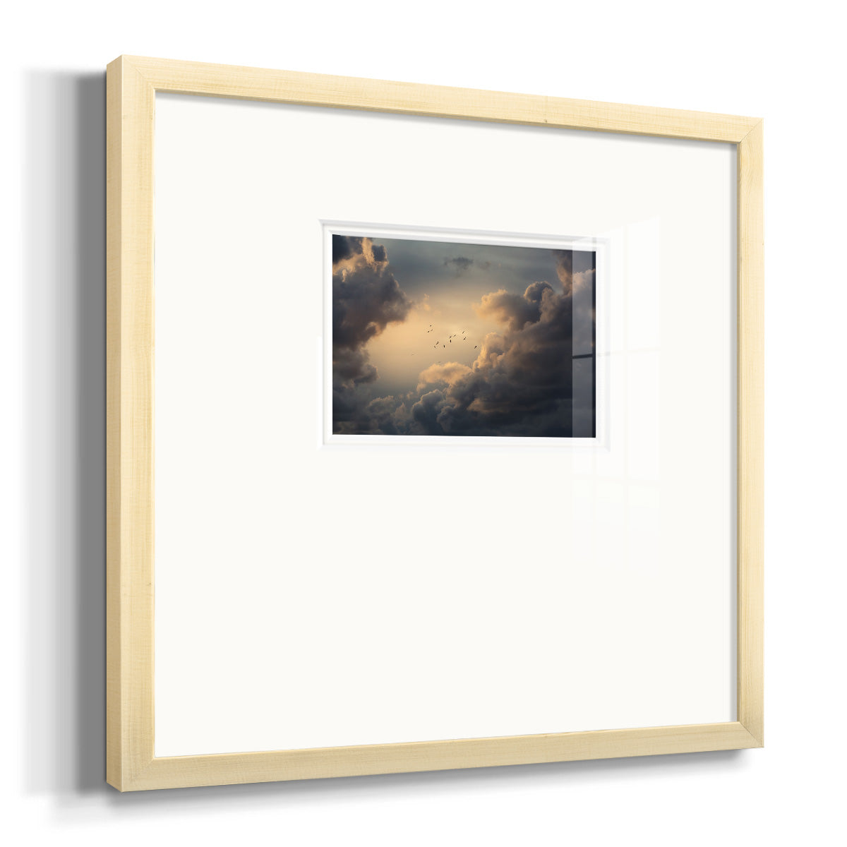 Soaring High Above- Premium Framed Print Double Matboard