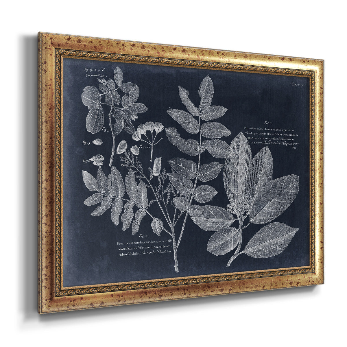 Foliage on Navy V Premium Framed Canvas- Ready to Hang