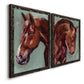 Paint by Number Horse I - Premium Framed Canvas 2 Piece Set - Ready to Hang