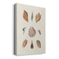 Knorr Shells & Coral VI Premium Gallery Wrapped Canvas - Ready to Hang