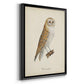 French Owls VI - Modern Framed Canvas Print
