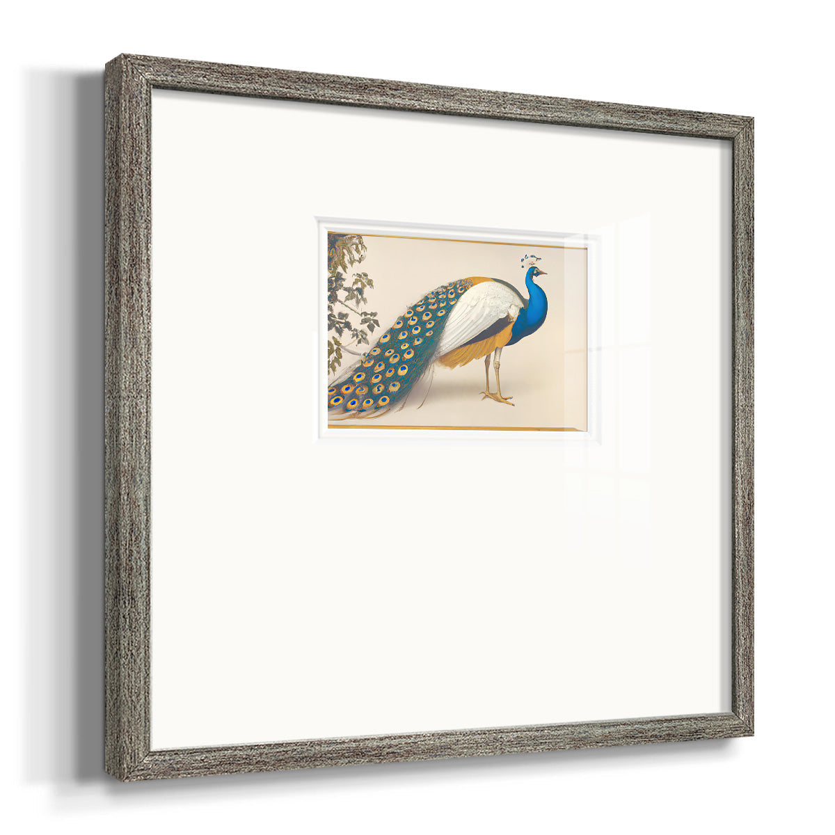 Golden Peacock III Premium Framed Print Double Matboard