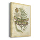 Regal Dragonfly IV (PP)  - Canvas Art Print