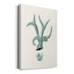 Antique Coastal Coral XII - Canvas Art Print