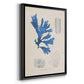 Blue Marine Algae VIII - Modern Framed Canvas Print