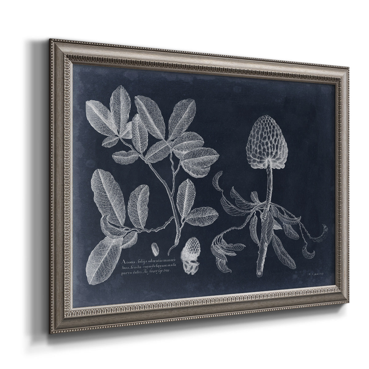 Foliage on Navy III Premium Framed Canvas- Ready to Hang